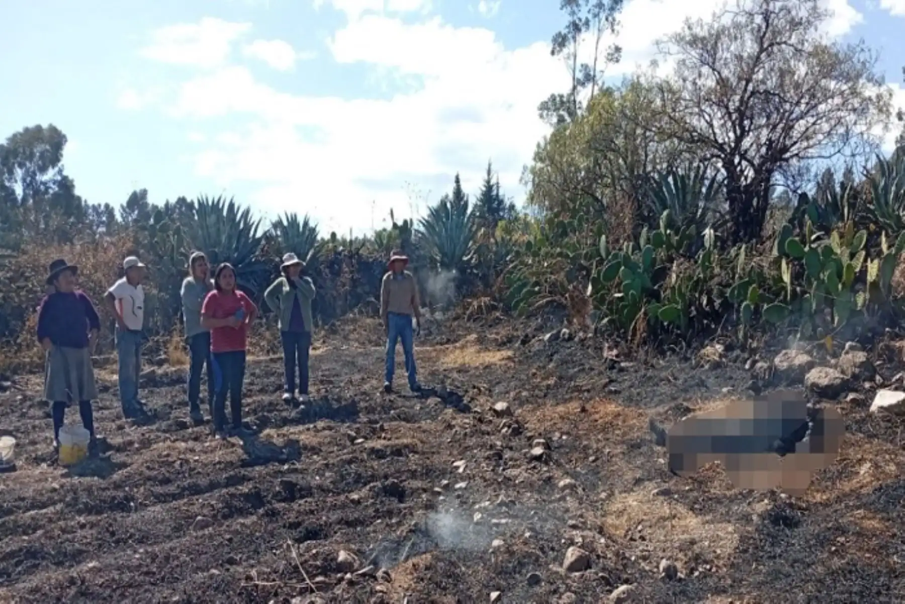 La víctima mortal era agricultor y se encontraba preparando su terreno para una nueva campaña de cultivo al momento del lamentable incidente.