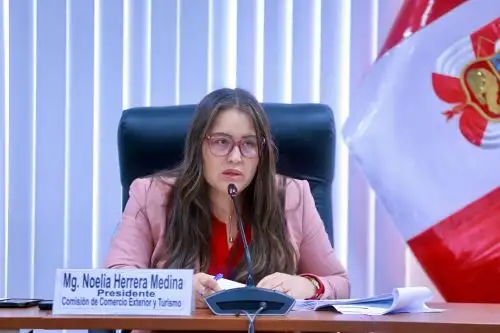 Congresista Noelia Herrera.