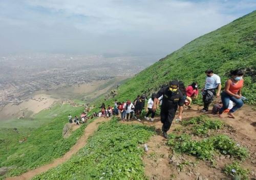 Espectáculo de la naturaleza. Los emblemáticos cerros Cabras y Campana, los más importantes de la ciudad de Trujillo, lucen en esta época del año un impresionante manto verde que atrae el interés de cientos de turistas. Foto: Ari Jáuregui