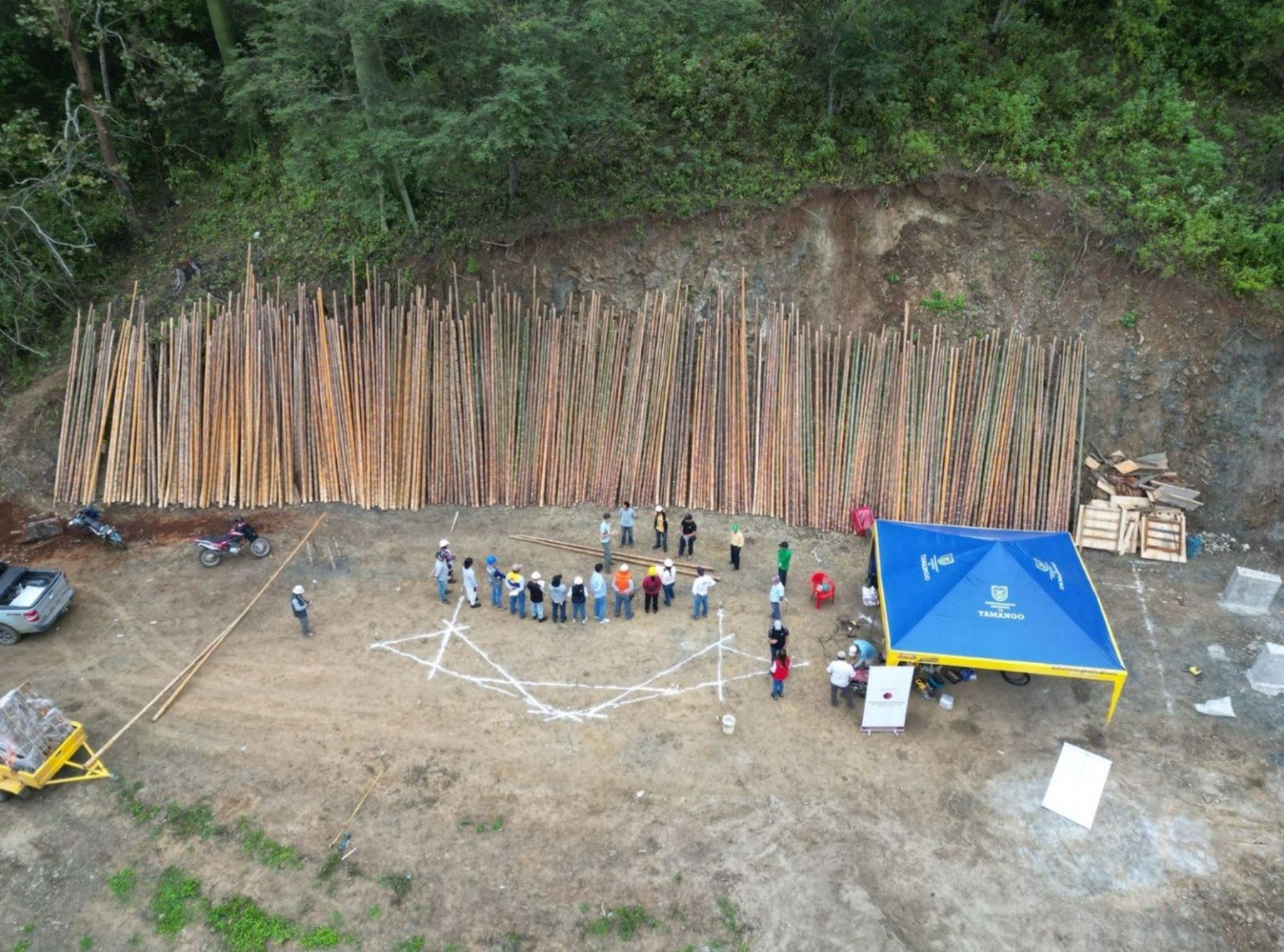La región Piura apuesta por el bambú como alternativa sostenible en la construcción y producción energética. ANDINA/Difusión