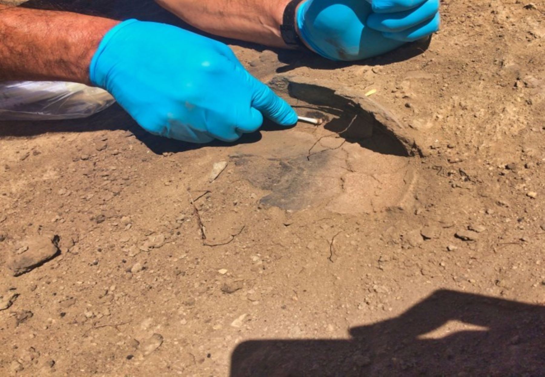 Durante las excavaciones recientes en Huaca Montegrande se hallaron esculturas de piedra de forma del cacao, que luego se determinaron por pruebas de laboratorio, que son objetos que se remontan a más de 6,100 años de antigüedad. Foto: Quirino Olivera