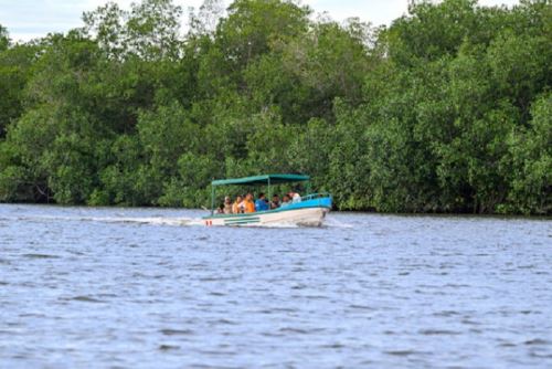Más del 60 % de turistas peruanos prefiere destinos naturales y/o culturales, y más del 50 % viaja en pareja o en familia.