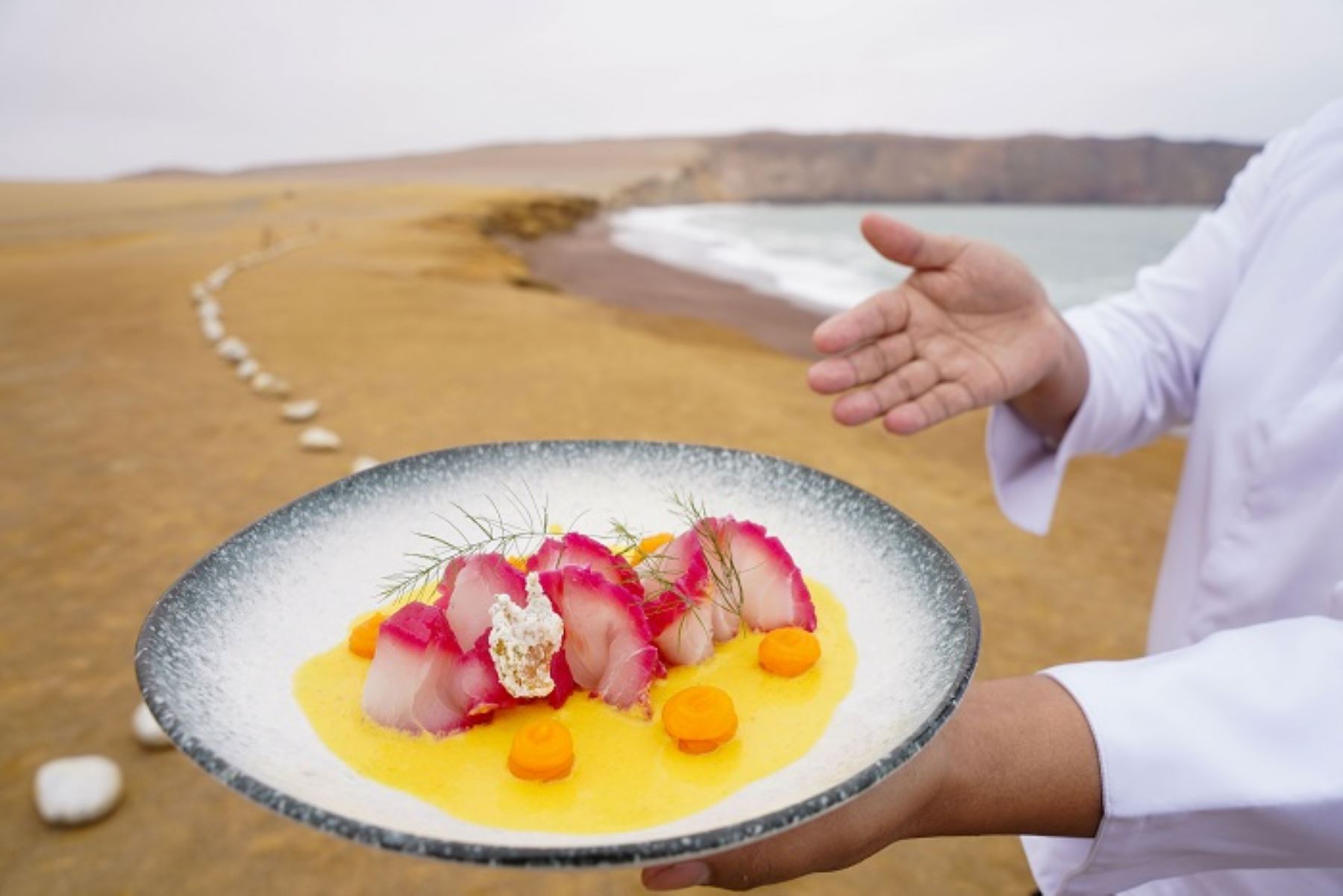 Ica: innovador “Ceviche Playa Roja” cautivó paladares de turistas nacionales y extranjeros