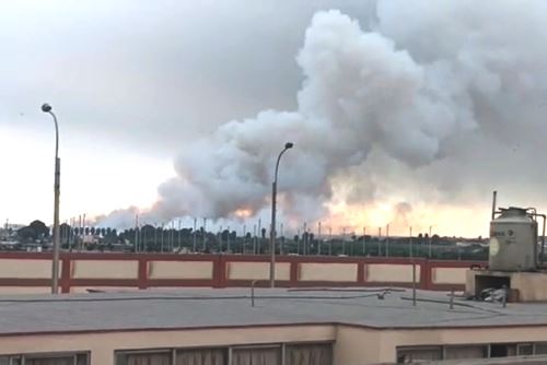 Bomberos combaten incendio forestal en terrenos de la Base Naval del Callao. Foto: ANDINA/CapturaTV.