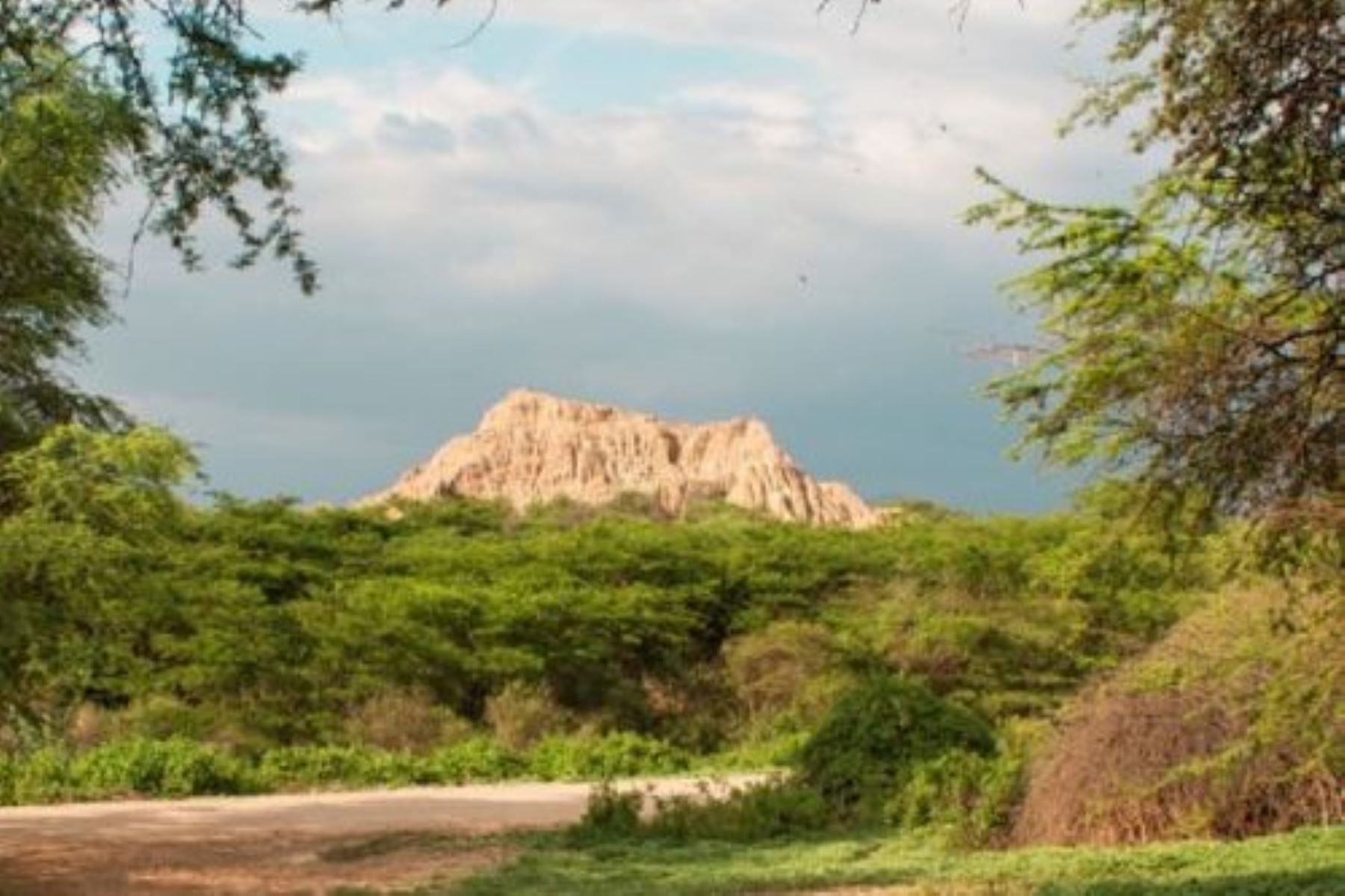 La ruta turística Caminos del Papa León XIV abarca atractivos de las regiones norteñas de Piura, Lambayeque y La Libertad, así como de la provincia constitucional del Callao. Foto: Minam