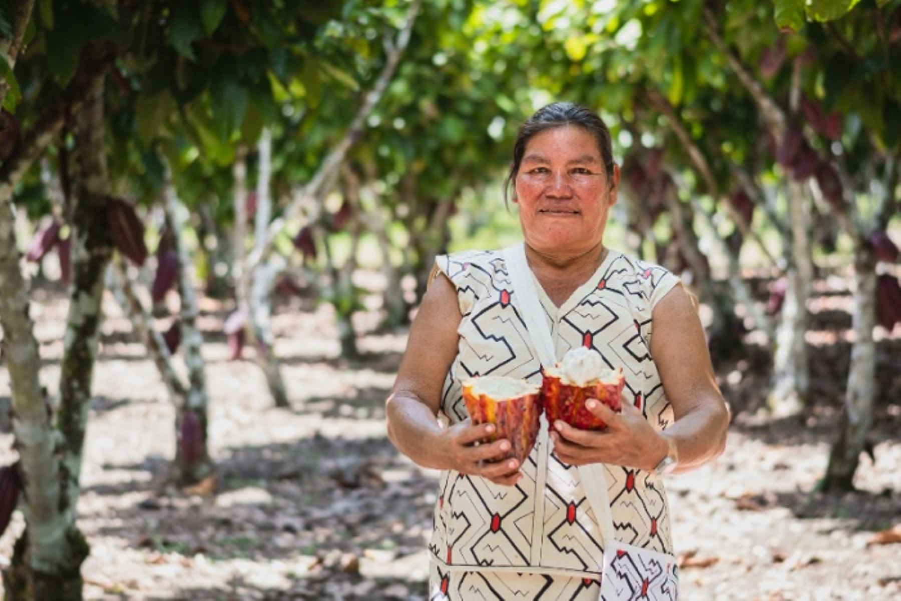 VII Festival Provincial del Cacao – Atalaya 2025 reunió a más de 300 agricultores, 40 organizaciones productoras y 15 instituciones públicas y privadas en una jornada integral.