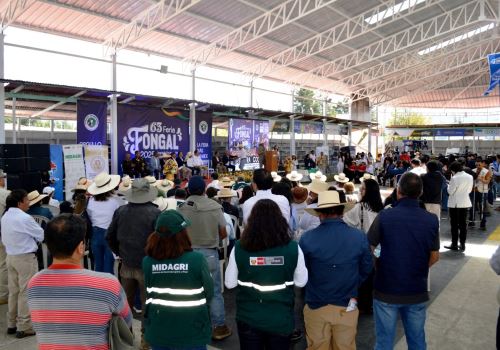 La feria Fongal se inauguró este lunes 21 en Cajamarca y los organizadores destacaron su aporte a la dinamización de la economía local, en especial de los ganaderos, agricultores y emprendedores. ANDINA/Difusión