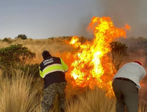 Un incendio forestal causa preocupación en la provincia cusqueña de Anta. El fuego ya arrasó con más de 18 hectáreas de cobertura natural. ANDINA/Difusión
