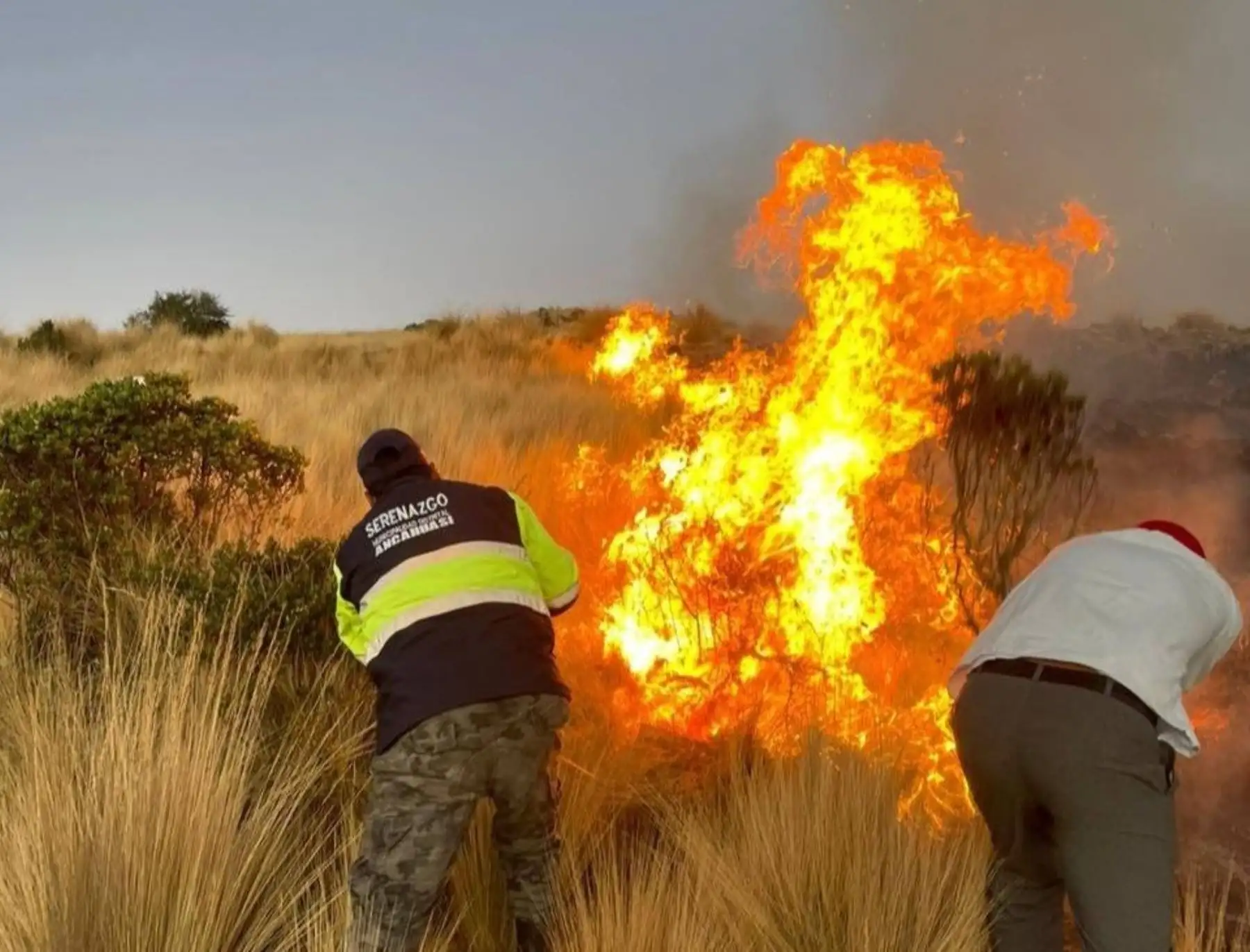 Un incendio forestal causa preocupación en la provincia cusqueña de Anta. El fuego ya arrasó con más de 18 hectáreas de cobertura natural. ANDINA/Difusión