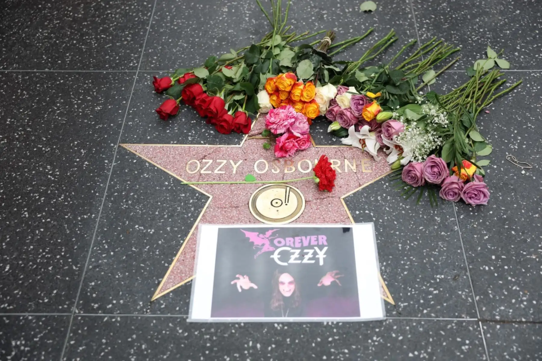 Ozzy Osbourne, legendario líder de Black Sabbath, falleció a los 76 años rodeado de su familia. Pionero del heavy metal, su legado marcó generaciones. Figuras como Brian May, Metallica y Rod Stewart lo despidieron con emotivos mensajes. Su último concierto en Birmingham fue un homenaje glorioso a su carrera. Ícono irrepetible, Ozzy será recordado como el Príncipe de las Tinieblas y eterno símbolo del rock más puro. Foto: AFP