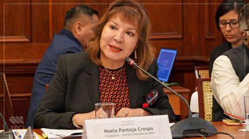 La directora ejecutiva de la Agencia Peruana de Cooperación Internacional (APCI), embajadora Noela Pantoja, se presentó ante el Congreso.