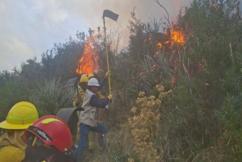 Los incendios forestales en Cusco han devastado en lo que va del año más de 1,150 hectáreas de pastizales y cultivos.