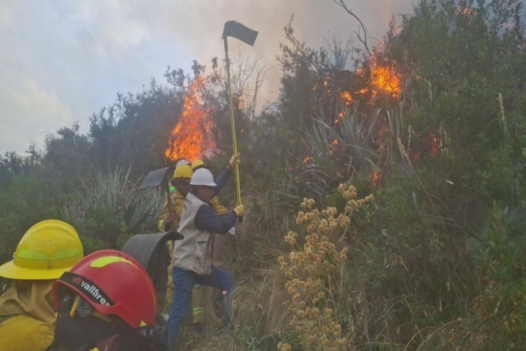 Los incendios forestales en Cusco han devastado en lo que va del año más de 1,150 hectáreas de pastizales y cultivos.