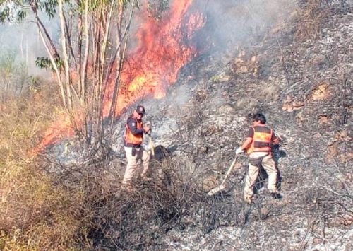 Brigadistas buscan controlar los incendios forestales que se registran en Áncash, en especial el que afecta al distrito de Taricá, en Huaraz, donde el fuego arrasó con 150 hectáreas de cobertura natural. ANDINA/Difusión