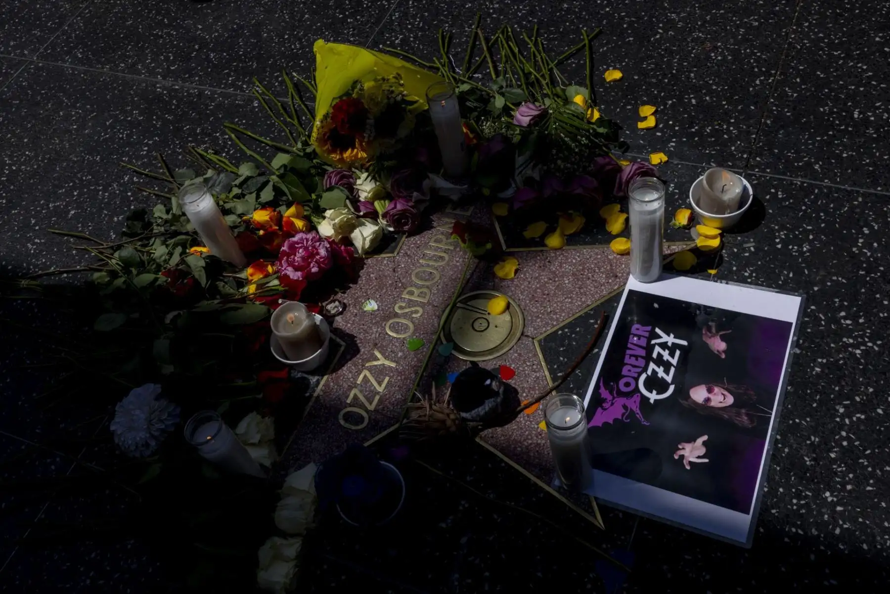 Admiradores de todo el mundo rindieron homenaje a Ozzy Osbourne, quien falleció el 22 de julio de 2025 a los 76 años. Flores, mensajes y lágrimas marcaron tributos en Birmingham y el Paseo de la Fama de Hollywood. Reconocido como el Príncipe de las Tinieblas, Osbourne revolucionó el heavy metal con su voz inconfundible y su presencia arrolladora, dejando un legado imborrable en la historia del rock y en millones de corazones. Foto: EFE