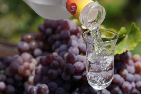 El pisco, bebida bandera del Perú, se caracteriza por elaborarse solo con uva y ser cristalino. Cortesía