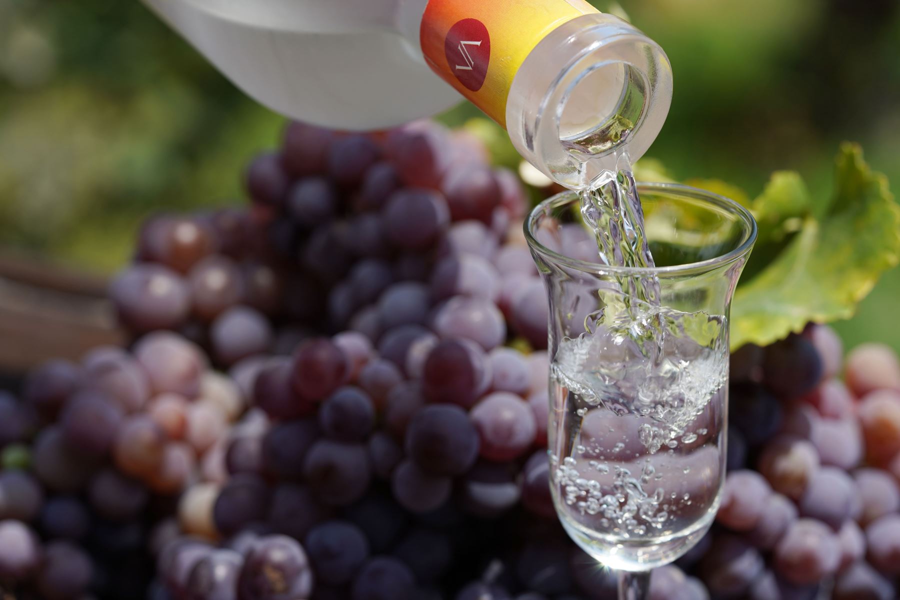 El pisco, bebida bandera del Perú, se caracteriza por elaborarse solo con uva y ser cristalino. Cortesía