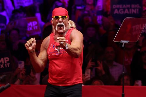 Hulk Hogan