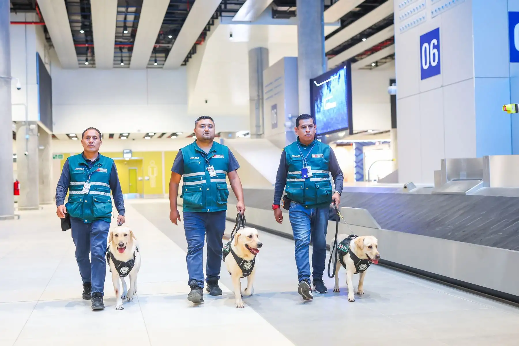La Brigada Canina del SENASA se ha consolidado como un pilar fundamental en el sistema de seguridad fitosanitaria del nuevo aeropuerto. Foto: ANDINA/Difusión:SENASA