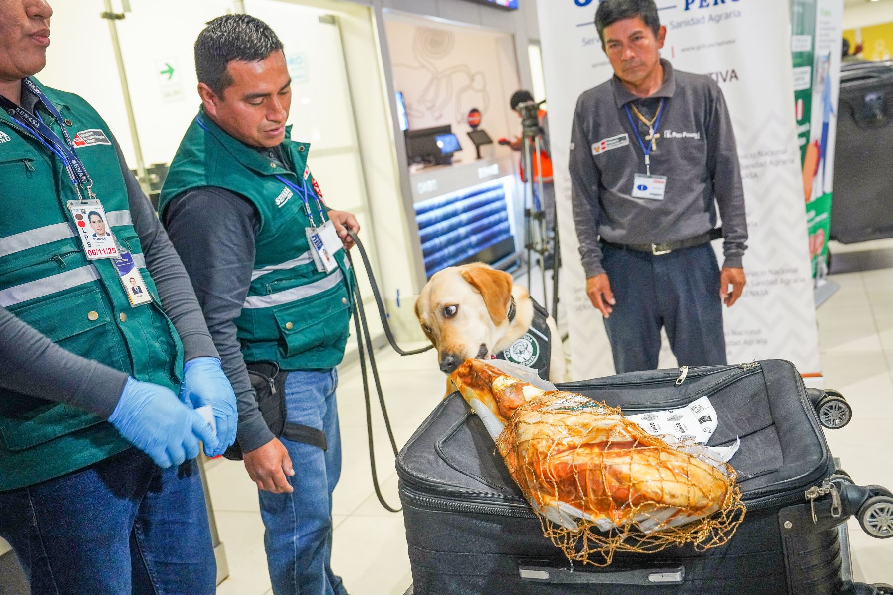SENASA ha reforzado su presencia con tres oficinas estratégicas ubicadas en las zonas de llegadas nacionales, llegadas internacionales y salidas internacionales.  Foto: ANDINA/Difusión:SENASA