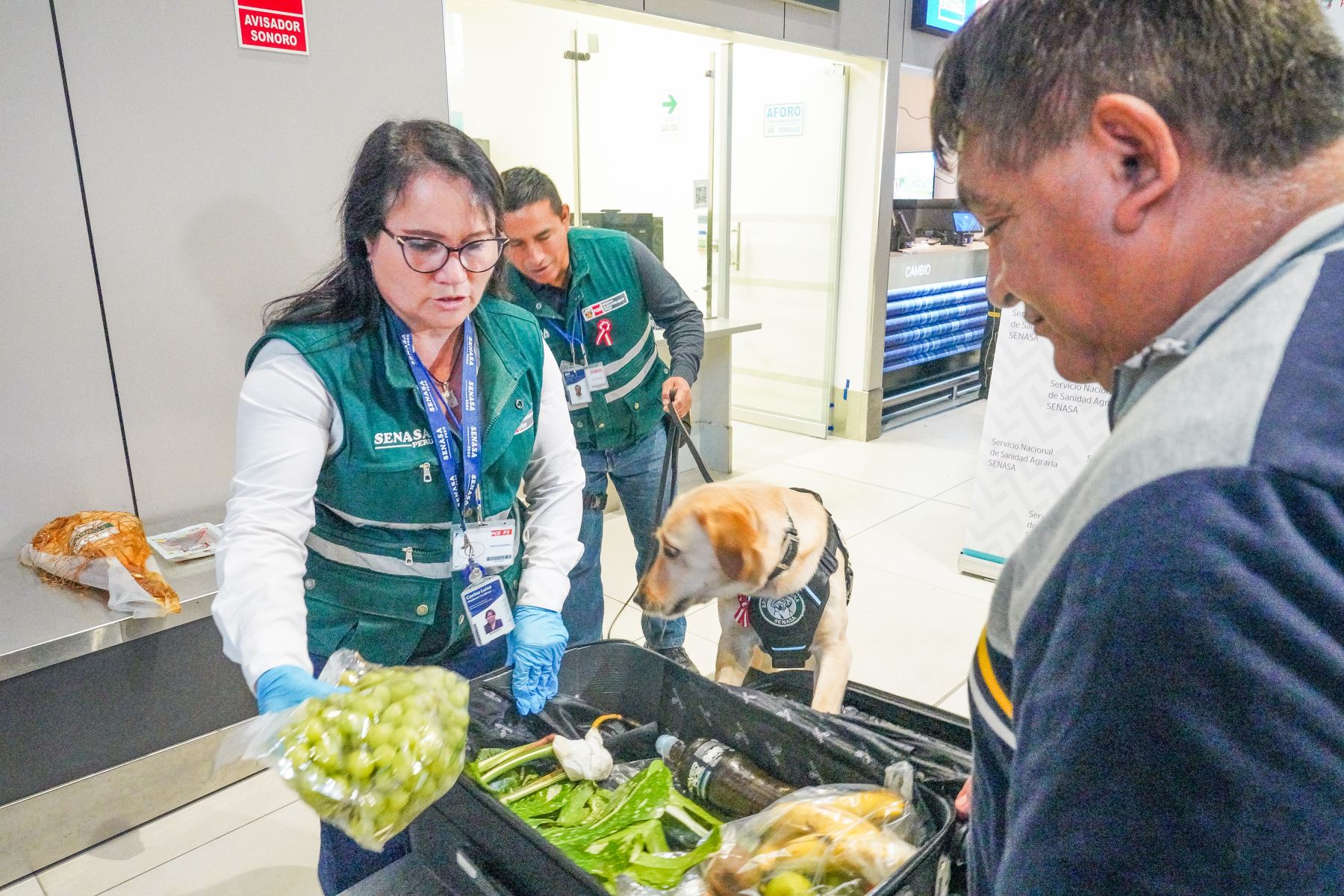 Desde estos puntos, se ejecutan inspecciones exhaustivas a productos de alto riesgo fitosanitario. Foto: ANDINA/Difusión:SENASA