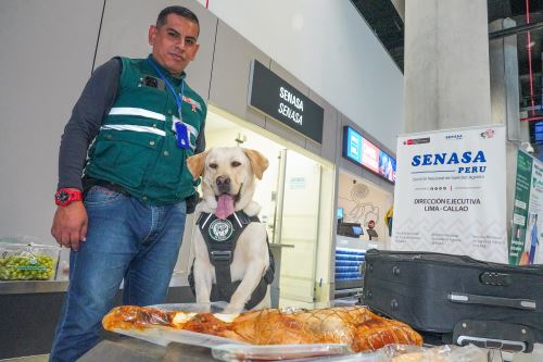 Control sanitario con olfato experto: Brigada canina del SENASA vigila el Jorge Chávez