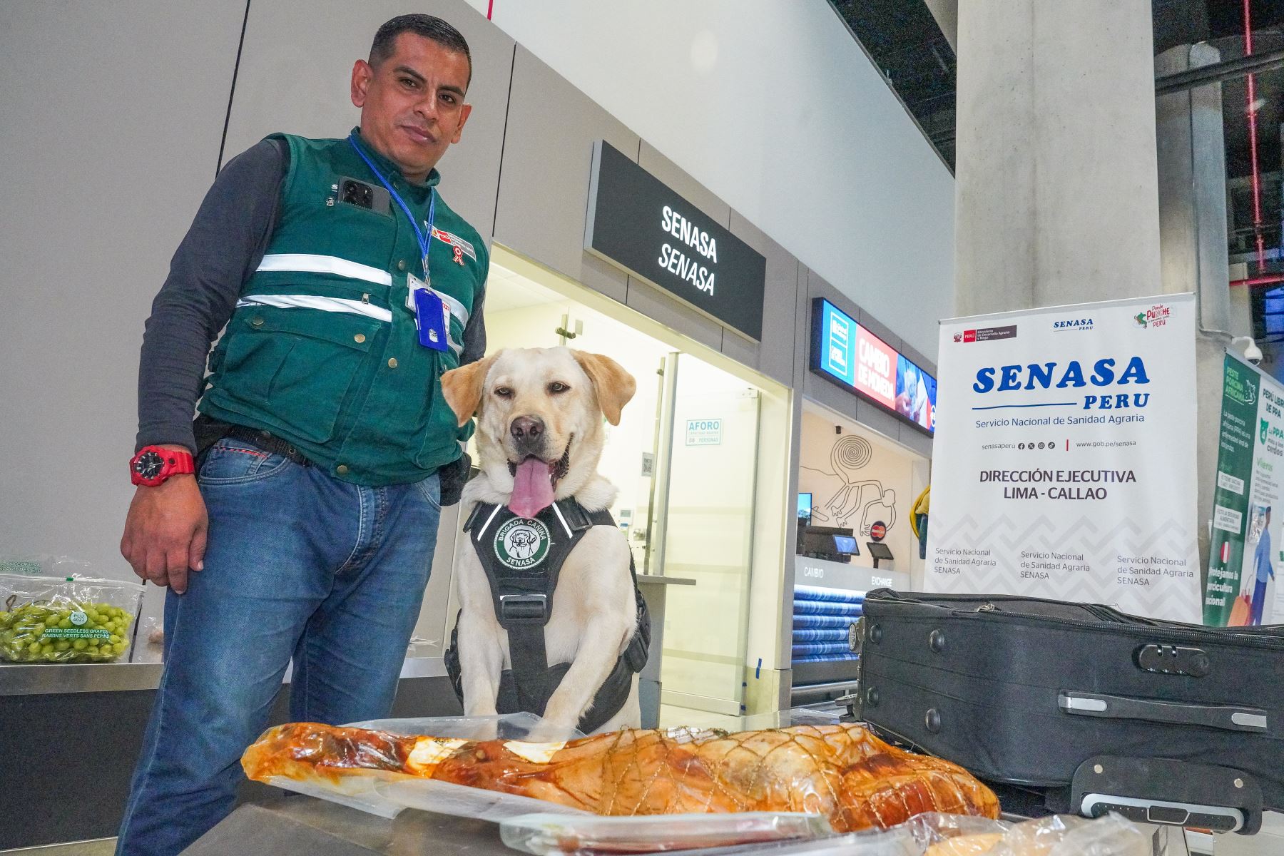 Comprometidos con la sanidad agraria del país, el Ministerio de Desarrollo Agrario y Riego informó que la brigada canina del SENASA viene trabajando de manera permanente en el Aeropuerto Internacional Jorge Chávez. Foto: ANDINA/Difusión:SENASA
