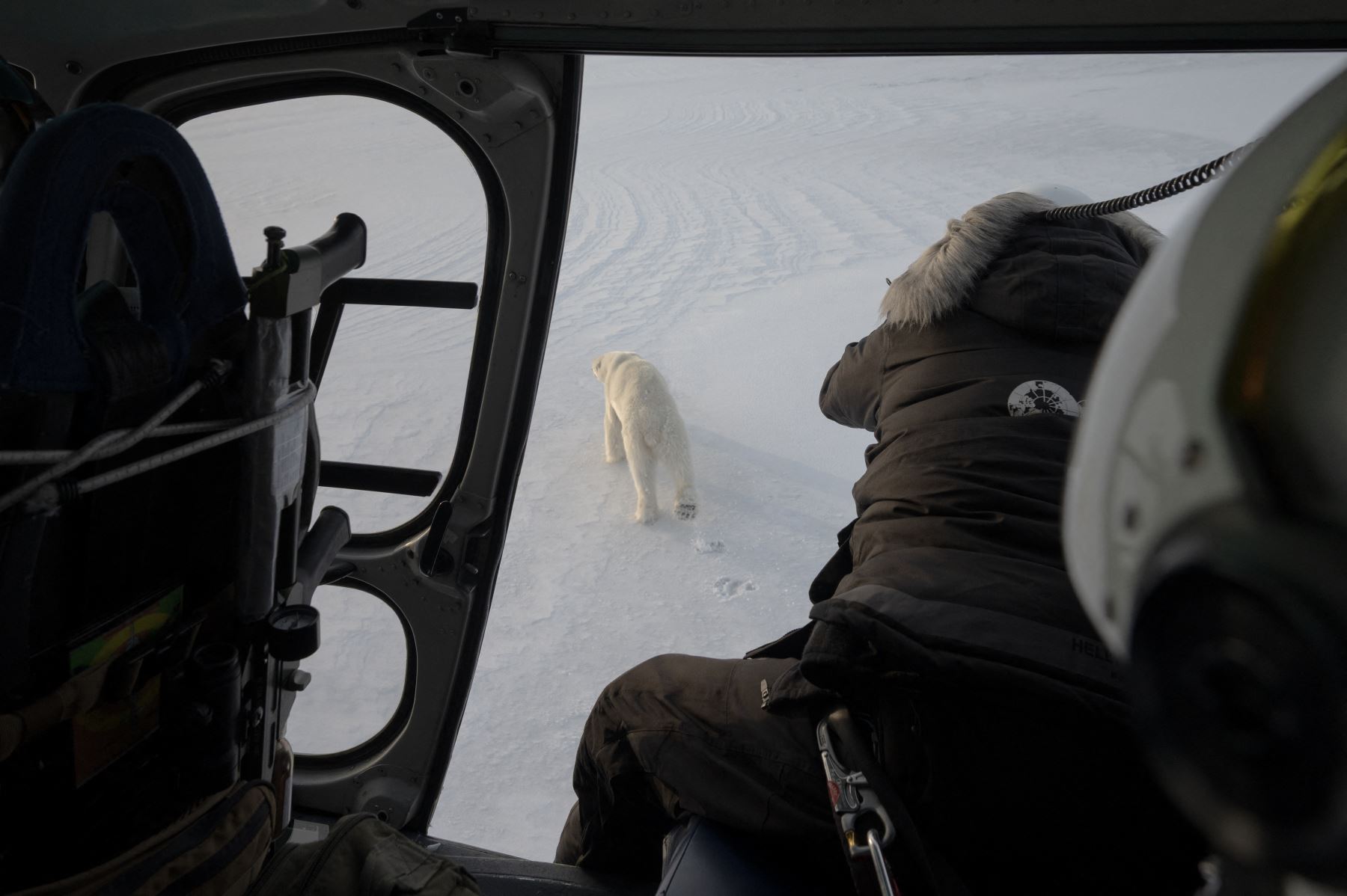El veterinario noruego Rolf Arne Olberg intenta implantar un dardo con su rifle de aire comprimido para sedar a osos polares en un helicóptero que vuela sobre el hielo marino en el este de Spitzbergen, en el archipiélago de Svalbar. AFP