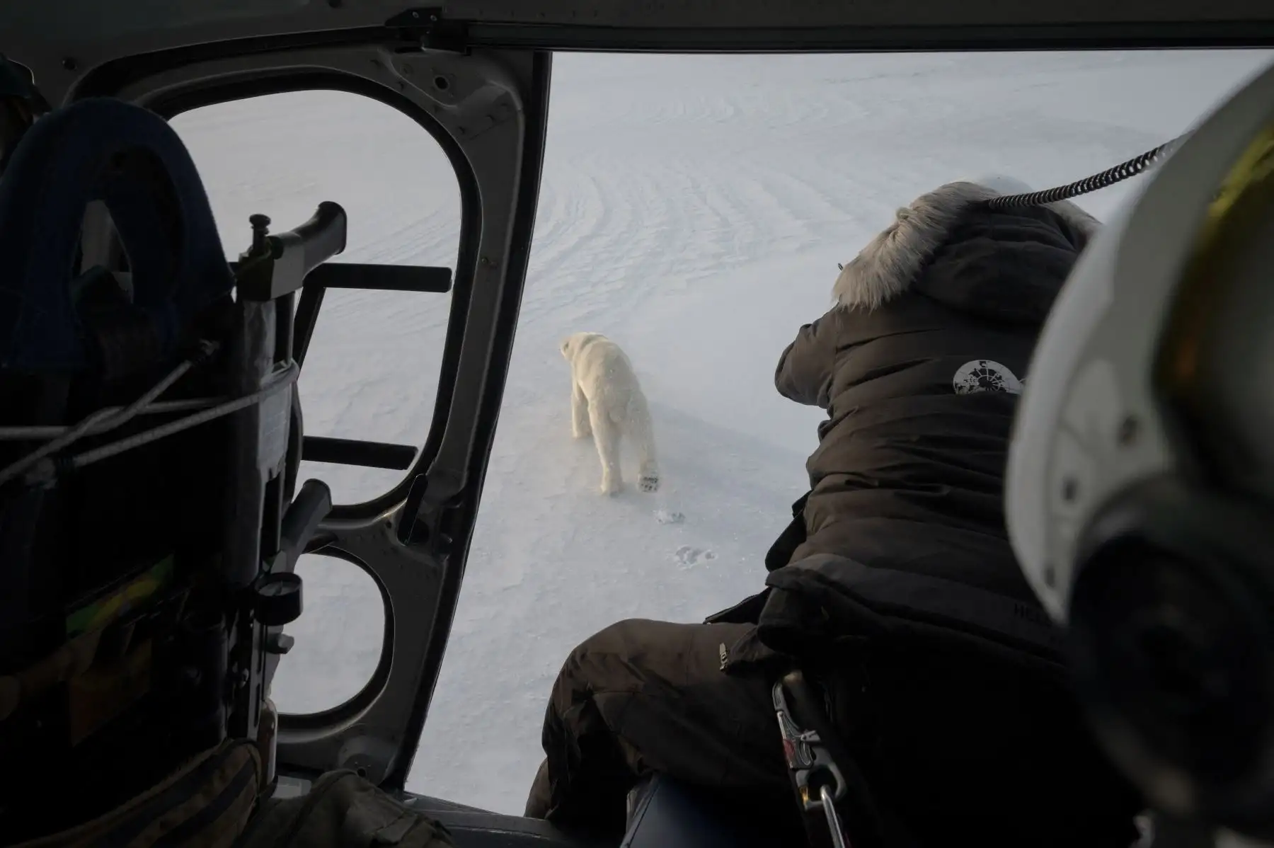 El veterinario noruego Rolf Arne Olberg intenta implantar un dardo con su rifle de aire comprimido para sedar a osos polares en un helicóptero que vuela sobre el hielo marino en el este de Spitzbergen, en el archipiélago de Svalbar. AFP
