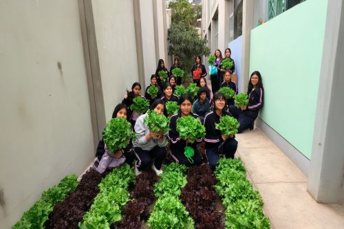 Estudiantes de la Institución Educativa Teresa González de Fanning han elaborado un proyecto de investigación que mejora la producción de alimentos orgánicos. Foto: ANDINA/Difusión