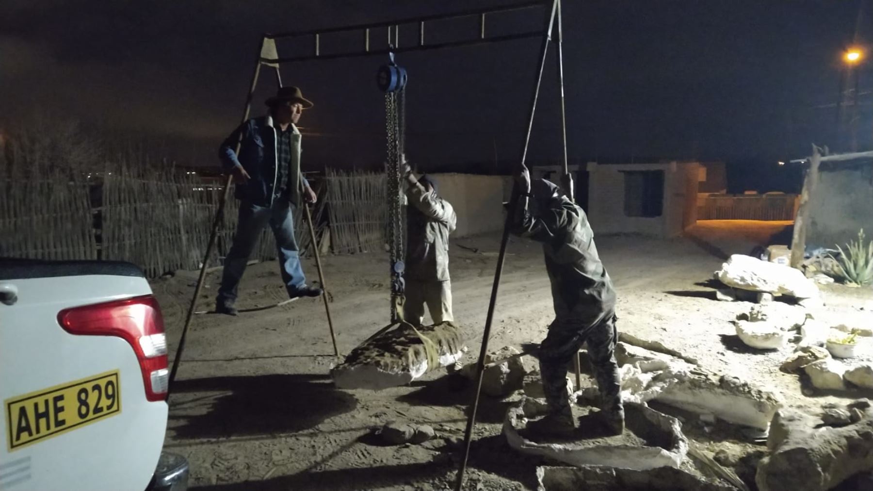 Hallan fósiles de cetáceos prehistóricos en desierto de Ica y Lomas. ANDINA/Difusión