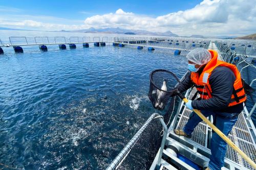Sanipes se comprometió a seguir promoviendo el acceso a las habilitaciones sanitarias en todo el país. Foto: SANIPES/Difusión.
