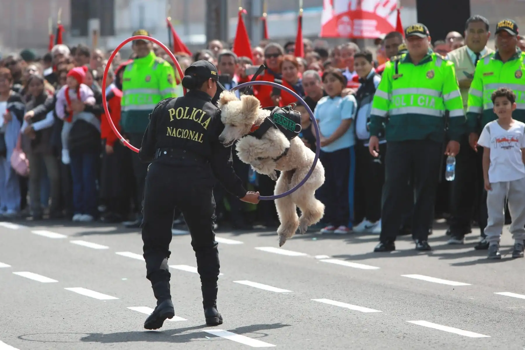 Con motivo del 204° Aniversario de la Independencia del Perú, niños, jóvenes, adultos, personas mayores o con discapacidad- desfilaron por la Costa Verde del Callao.
Foto: Gore Callao