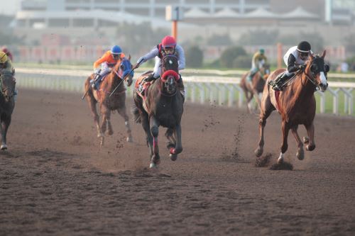 El Hipódromo de Monterrico albergará el  Clásico Independencia, una de las competencias hípicas más importante del año.
