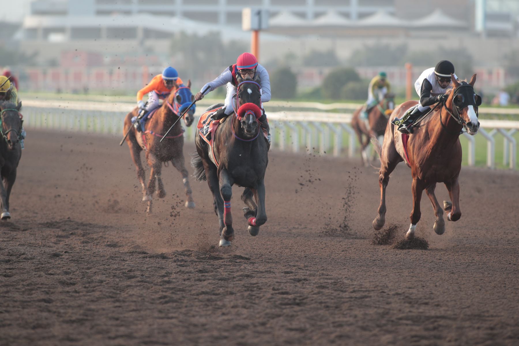 El Hipódromo de Monterrico albergará el  Clásico Independencia, una de las competencias hípicas más importante del año.