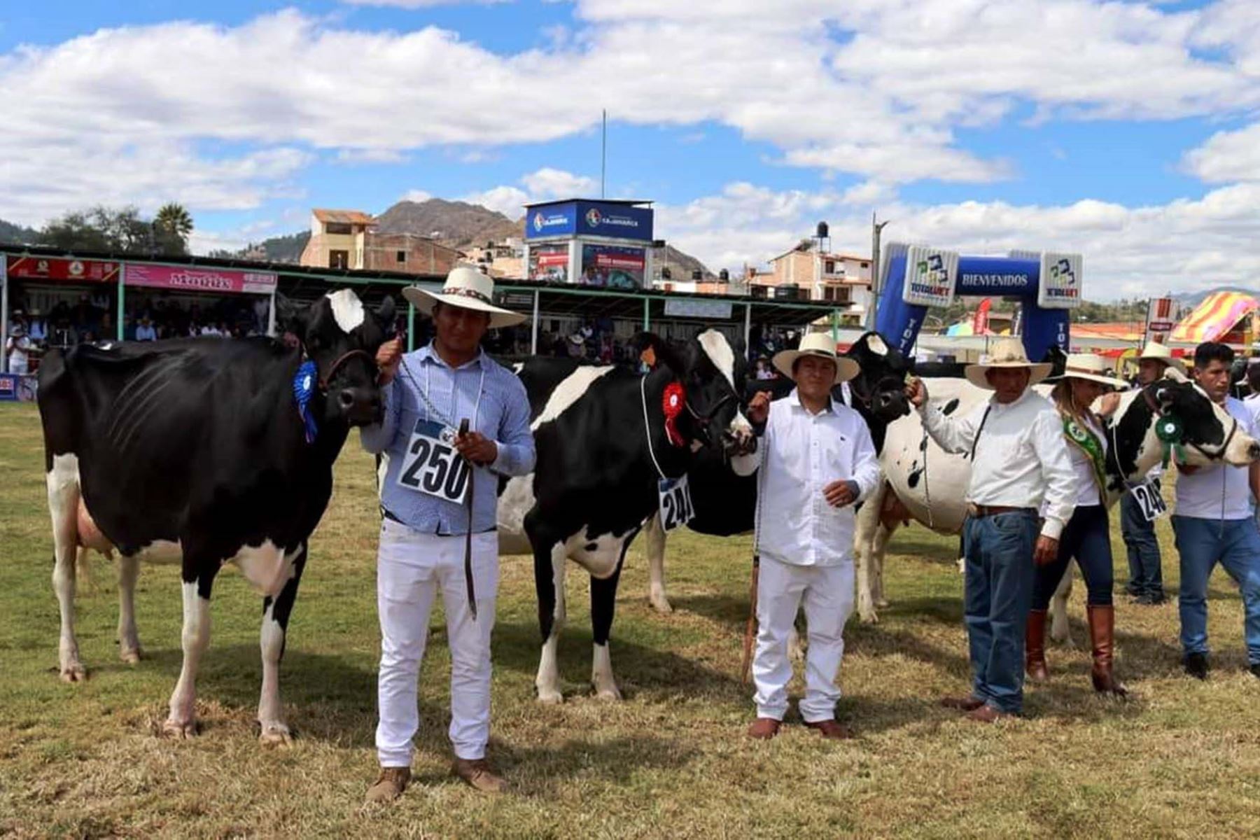 La actividad ganadera en Cajamarca es dinámica. ANDINA/Difusión