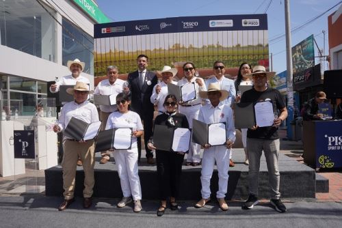 Las bodegas vitivinícolas que recibieron la licencia de uso de la Marca Perú son: bodega El Olivar, La Plantada, Murga, La Sentencia, Agroindustria Lorenzo D