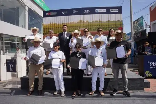 Las bodegas vitivinícolas que recibieron la licencia de uso de la Marca Perú son: bodega El Olivar, La Plantada, Murga, La Sentencia, Agroindustria Lorenzo D