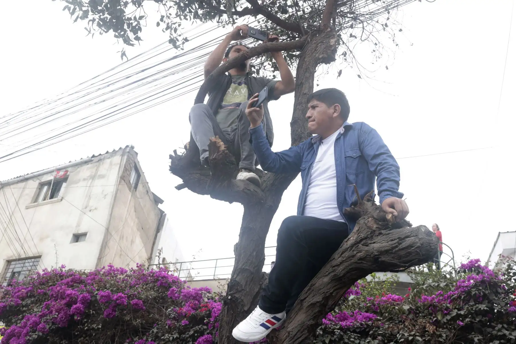 Delegaciones participan en la Gran Parada y Desfile Cívico Militar 2025 como parte de los actos conmemorativos por el 204° aniversario de la Independencia del Perú.
Foto: ANDINA/Vidal Tarqui