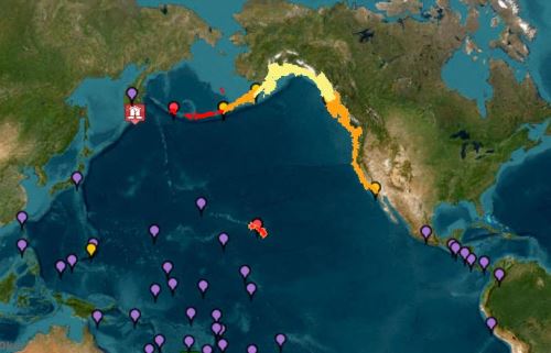 Esta imagen, cortesía del Sistema de Alerta de Tsunamis de la Administración Nacional Oceánica y Atmosférica, muestra alertas de tsunami (rojo), avisos (naranja), vigilancias (amarillo) y amenazas (violeta) después de que un terremoto de 8.7 azotara el extremo este de Rusia el 30 de julio de 2025. Foto: AFP