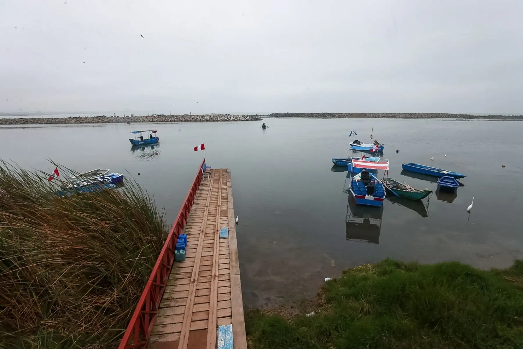Como medida preventiva, la Marina recomendó a las autoridades locales iniciar evacuaciones con tres horas de anticipación y pidió a la población costera seguir los planes de evacuación establecidos por sus municipios.

Foto: ANDINA/Juan Carlos Guzmán Negrini