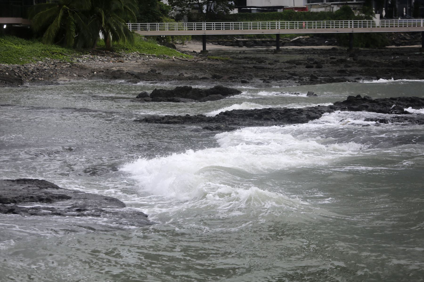 Fotografía del oleaje en la bahía de Panamá este miércoles, en Ciudad de Panamá. Centroamérica mantiene un "alerta de vigilancia por la posible llegada de olas de entre 30 centímetros y un metro de altura", tras el potente sismo registrado el martes en la región rusa de Kamchatka, en el Pacífico Norte, informó este miércoles el Instituto de Geociencias de la Universidad de Panamá.
Foto: EFE