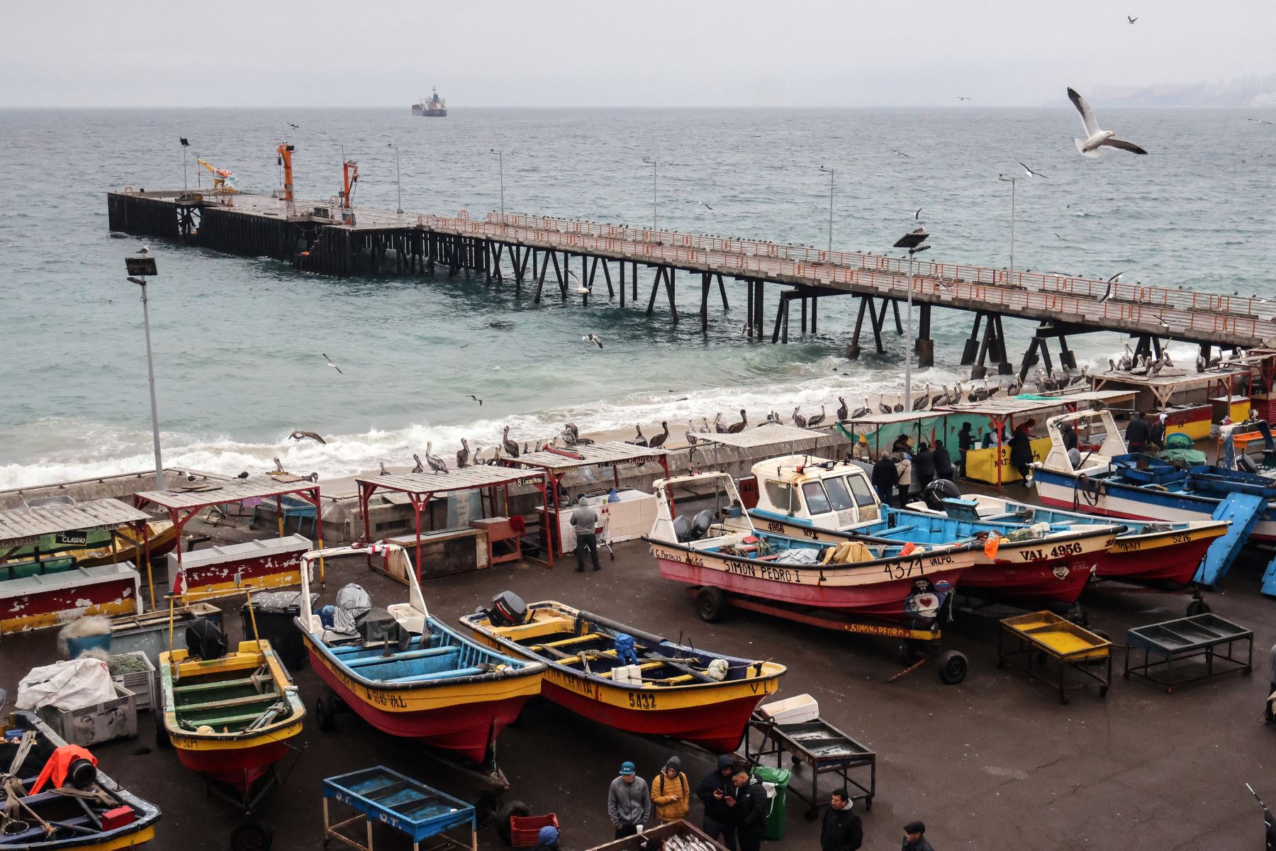 Vista general del muelle pesquero artesanal de Caleta Portales durante una alerta de tsunami en Valparaíso, Chile. Uno de los terremotos más fuertes jamás registrados azotó el Lejano Oriente de Rusia, escasamente poblado, el miércoles, provocando tsunamis de hasta cuatro metros de altura en el Pacífico y provocando evacuaciones desde Hawái hasta Japón.
Foto: AFP