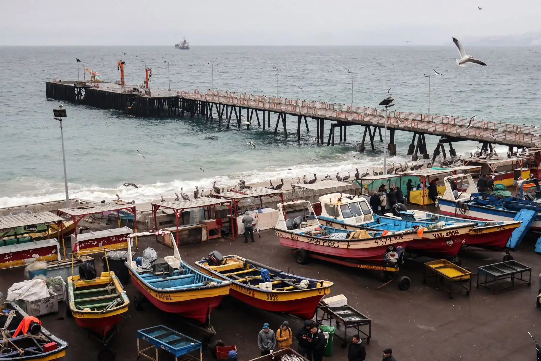 Vista general del muelle pesquero artesanal de Caleta Portales durante una alerta de tsunami en Valparaíso, Chile. Uno de los terremotos más fuertes jamás registrados azotó el Lejano Oriente de Rusia, escasamente poblado, el miércoles, provocando tsunamis de hasta cuatro metros de altura en el Pacífico y provocando evacuaciones desde Hawái hasta Japón.
Foto: AFP