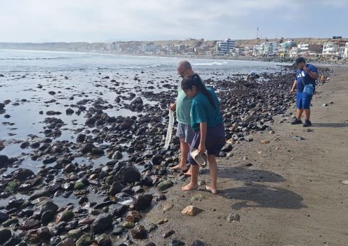 El mar se retiró varios metros en las playas de los distritos de Huanchaco y Salaverry, en la provincia liberteña de Trujillo, Todavía sigue vigente la alerta de tsunami en el litoral peruano tras el sismo de magnitud 8.8 en Rusia. Foto: Luis Puell
