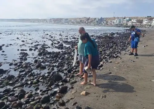 El mar se retiró varios metros en las playas de los distritos de Huanchaco y Salaverry, en la provincia liberteña de Trujillo, Todavía sigue vigente la alerta de tsunami en el litoral peruano tras el sismo de magnitud 8.8 en Rusia. Foto: Luis Puell