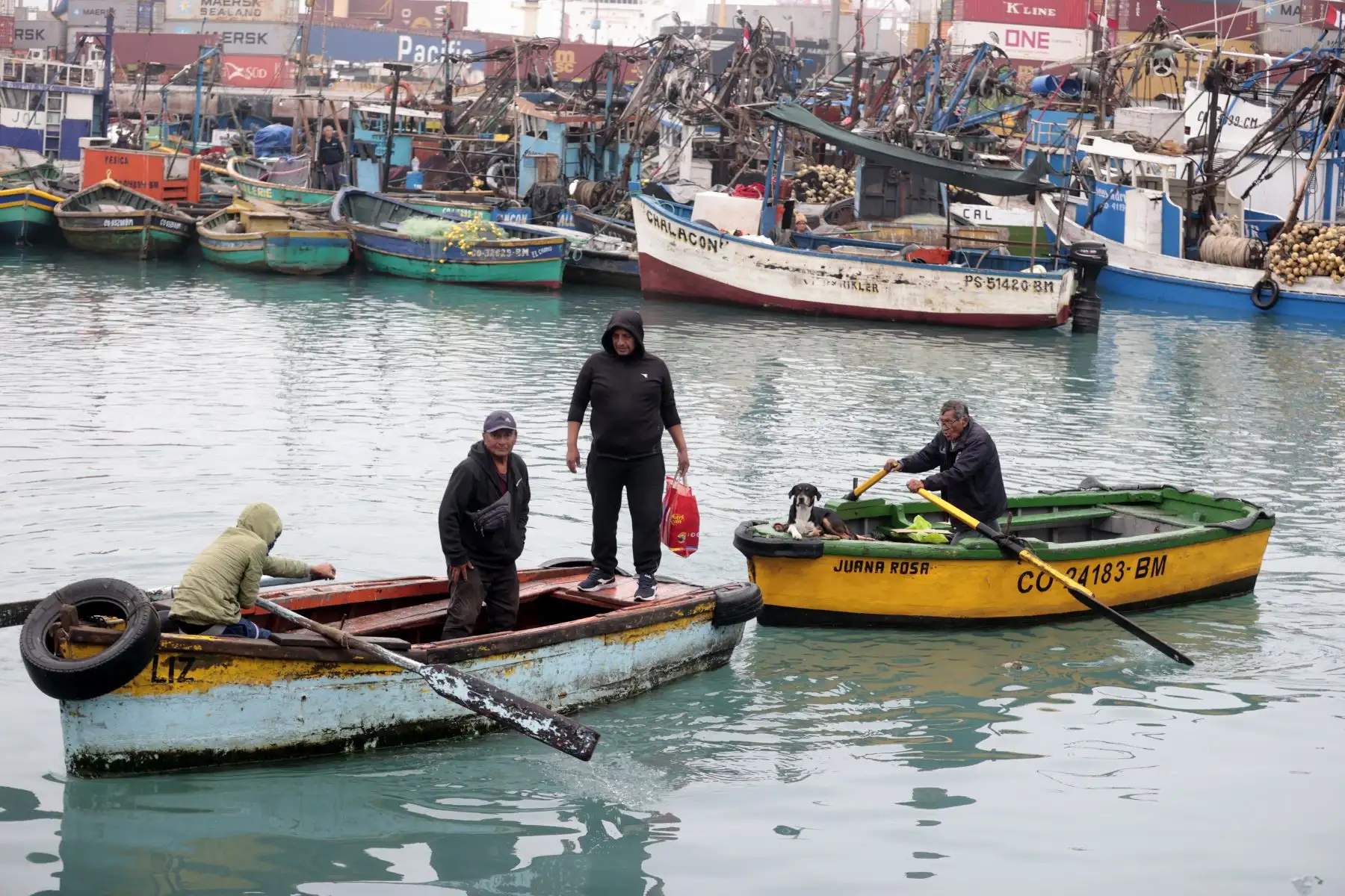 Así luce el muelle de pescadores del Callao, tras la cancelación de la alerta de tsunami en Perú. Foto: ANDINA/Vidal Tarqui