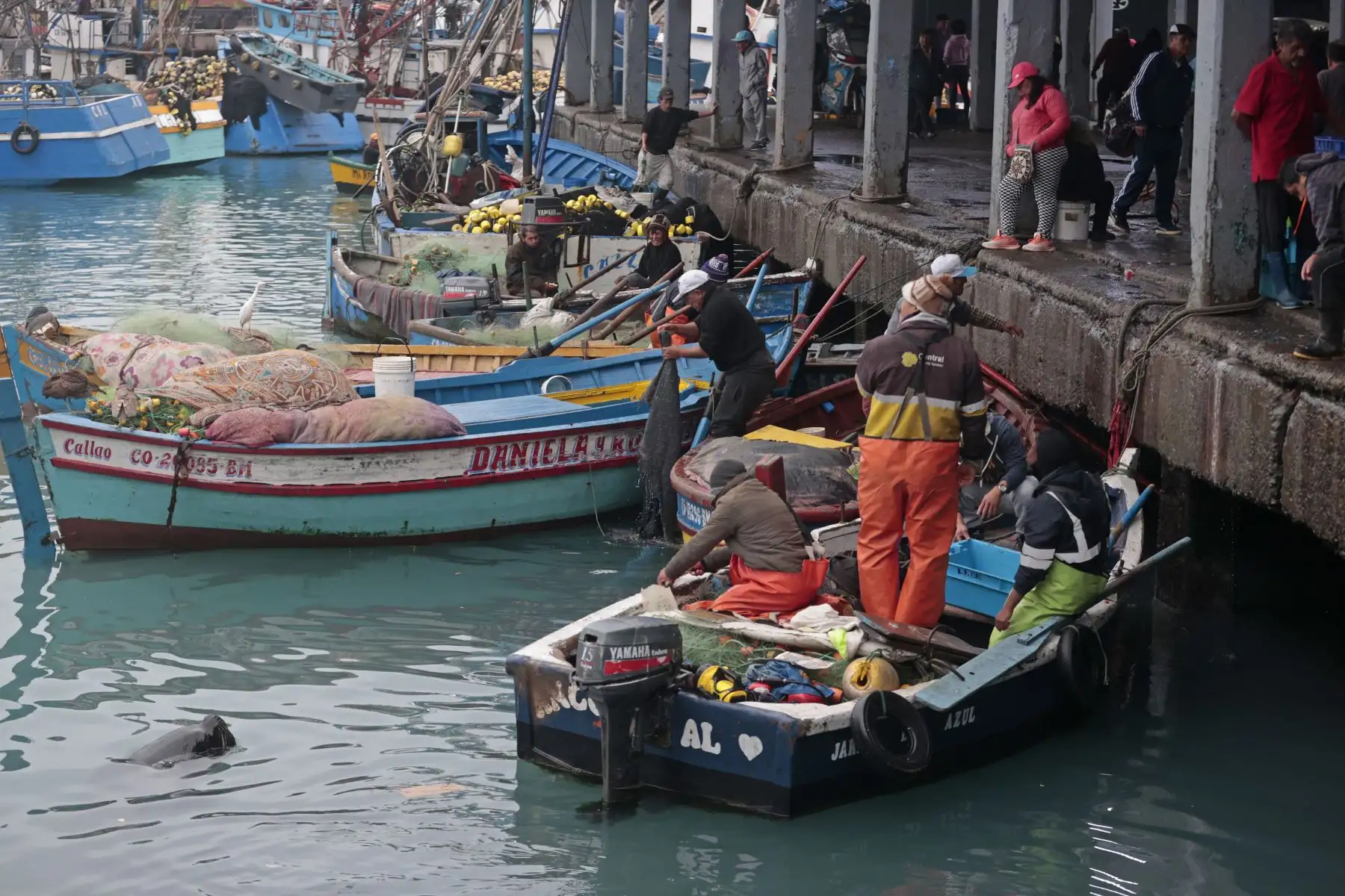 Así luce el muelle de pescadores del Callao, tras la cancelación de la alerta de tsunami en Perú. Foto: ANDINA/Vidal Tarqui