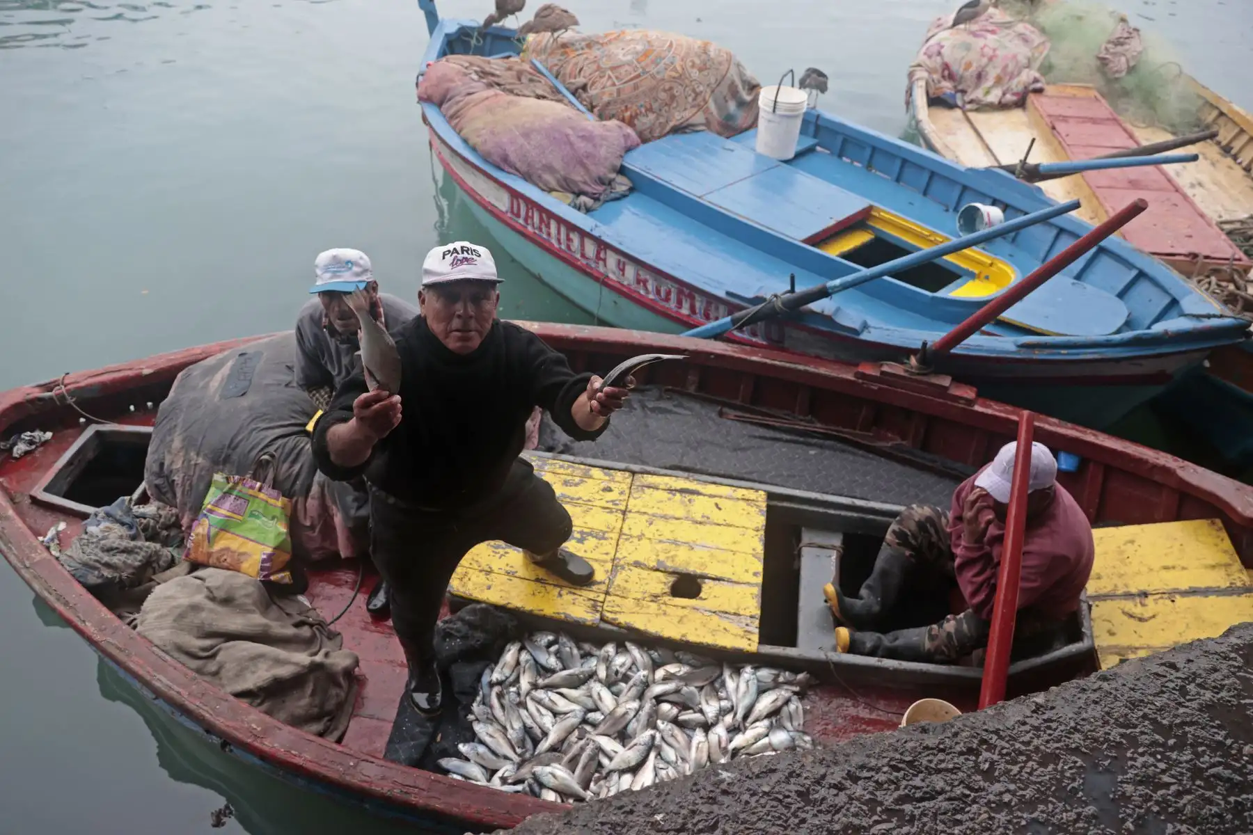 Así luce el muelle de pescadores del Callao, tras la cancelación de la alerta de tsunami en Perú. Foto: ANDINA/Vidal Tarqui