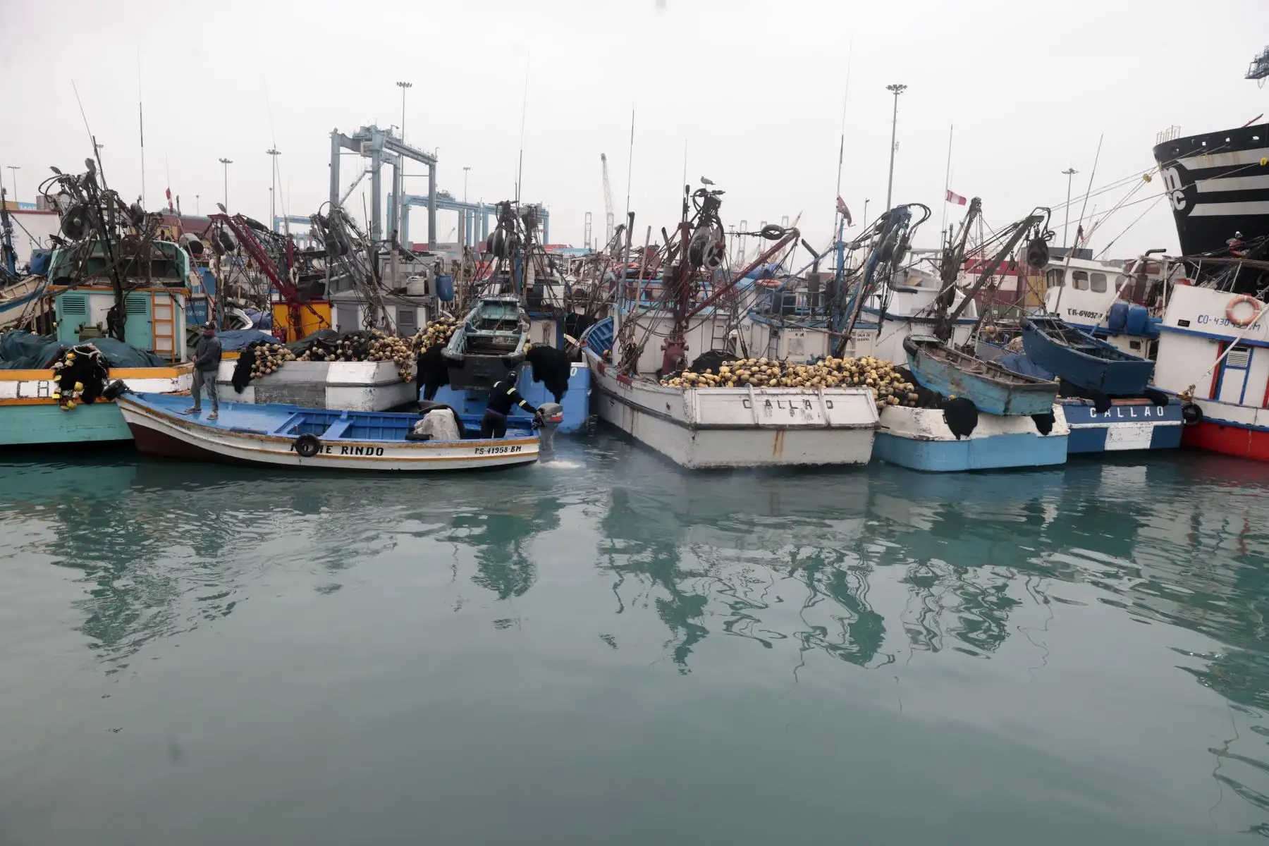 Así luce el muelle de pescadores del Callao, tras la cancelación de la alerta de tsunami en Perú. Foto: ANDINA/Vidal Tarqui